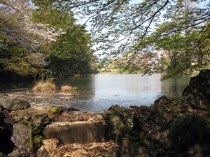 Shinjuku Gyoen, by me