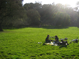 Golden Gate Park, by jordanfischer