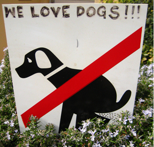We Love Dogs, pooping photo from Flickr user Rick