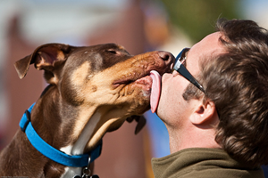 sloppy kiss