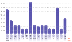 My runs in 2011